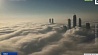 Два крупнейших аэропорта Объединенных Арабских Эмиратов закрыты из-за тумана