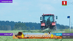 Цель белорусских аграриев в этом году - собрать более 8 млн тонн зерновых