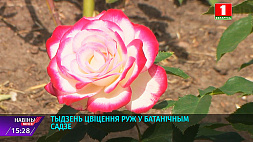 Парад роз в Ботаническом саду: в коллекции более 270 сортов