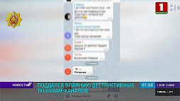 Поддался влиянию деструктивных Telegram-каналов