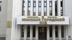 Группа радикалов пыталась сорвать референдум в Минске: суд вынес приговор 
