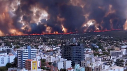 Крупный степной пожар разгорелся в Аргентине