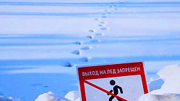 Ситуацию на водоемах  Беларуси специалисты ОСВОДа называют критической