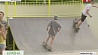 В Вилейском парке появился современный скейтпарк