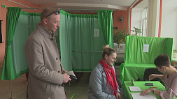Электоральный марафон, который объединяет белорусов. Как выбирают депутатов в Логойском районе