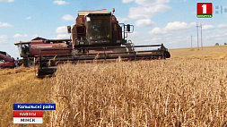 На юго-западе Минской области убрано почти  80 % зерна