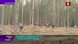 Минская область присоединилась к акции "Неделя леса" 