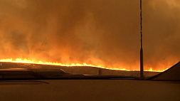 В Техасе полыхают лесные пожары