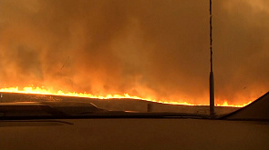 В Техасе полыхают лесные пожары