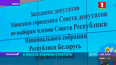 В Беларуси прошли выборы в Совет Республики 