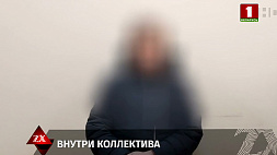 Минчанка обманула коллег на 120 тыс. рублей: они брали для нее кредиты и рассрочки