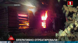Милиционеры спасли двух человек на пожаре в Бобруйске