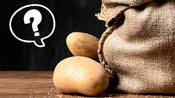 Какой сорт картофеля нравится Президенту Беларуси 