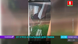 Участнице патриотических акций в Беларуси разбили три окна в доме