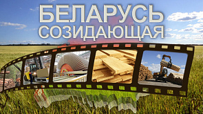 "Можно было снимать фильмы ужасов!": как развивались предприятия по деревообработки в Беларуси?