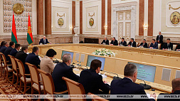 Лукашенко потребовал прекратить вольницу в вопросе отработки медиков-целевиков