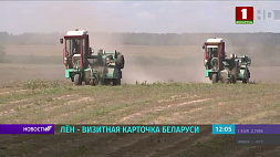 В Минской области на 25 % увеличили посевные площади под лен