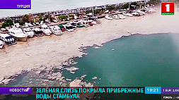 Мраморное море в районе Стамбула покрыла странная слизь