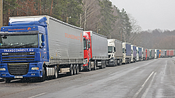 Польский треш: водители фур неделю ждут выезда из Беларуси в пункте пропуска "Берестовица"
