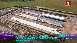 Новое направление в АПК Беларуси - в Минской области продолжается строительство комплекса по производству мяса индейки