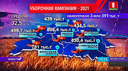 В Беларуси намолочено 3 млн 391 тыс. тонн зерновых