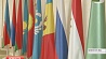 Беларусь выбрана председателем межгосударственного совета по сотрудничеству в научно-технической и информационной сферах
