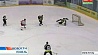 Со счетом 11:6 хоккейная команда Президента обыграла команду Гомельской области