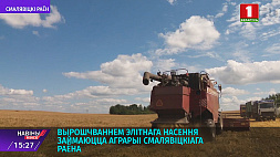 Выращиванием элитных семян занимаются аграрии Смолевичского района 
