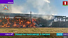 Спасатели  ликвидировали пожар на льнозаводе  в Лиозно