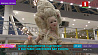 Международная выставка "Весенний бал кукол" открылась в Москве 