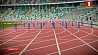 Легкая атлетика - на стадионе "Динамо". Около 400 спортсменов будут бороться за медали открытого чемпионата Беларуси 