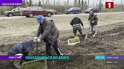 "Патриоты Беларуси" высадили гектар леса в деревне Борки