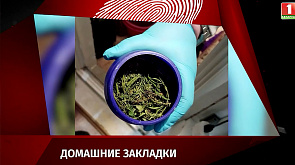Крупную партию марихуаны хранил у себя житель Светлогорска