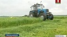 Сельхозорганизации Минской области втягиваются в массовую жатву