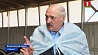 Президент Беларуси требует немедленно заняться развитием Белыничского района