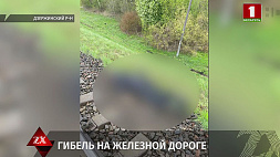 В Дзержинском районе под колесами грузового поезда погиб пенсионер