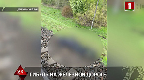 В Дзержинском районе под колесами грузового поезда погиб пенсионер