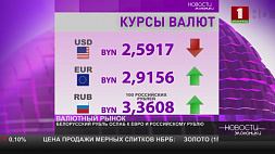 Курсы валют на 2 февраля - белорусский рубль укрепился к доллару