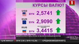 Курсы валют на 5 января - белорусский рубль ослаб ко всем основным валютам