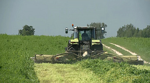 В Могилевской области с первого укоса планируют заготовить миллион тонн сенажа 