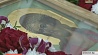 Икона Иисуса Христа с частицей тернового венца доставлена в Беларусь