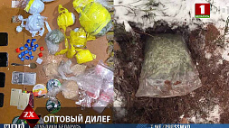 Сотрудники наркоконтроля задержали 19-летнего парня, распространявшего наркотики в Минском районе