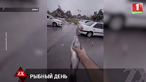В Иране произошел автомобильный коллапс из-за дождя в виде рыб