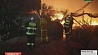 Свыше 130 жителей Хайфы пострадали в результате лесных пожаров в Израиле