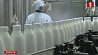 Проблему с поставками белорусской молочки в Россию планируется решить до конца недели