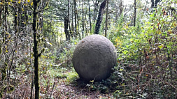 В лесу в Сочи появились загадочные металлические шары