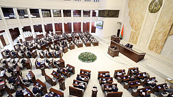25 января во втором чтении депутаты рассмотрят законопроект о ВНС