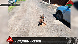 Электроинструментов более чем на полтысячи рублей похищено в Борисовском районе