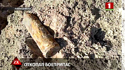 В Лунинецком районе местный житель на своем участке откопал боеприпас 