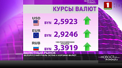 Курсы валют на 3 февраля - белорусский рубль ослаб ко всем основным валютам 